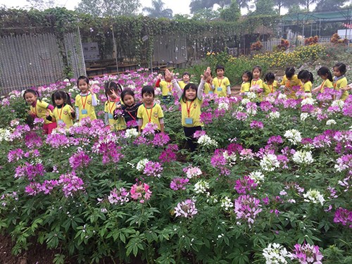 Các bé MG trường MN Phúc Đồng đã có những trải nghiệm thú vị trong chuyến giã ngoại tại Trang trại giáo dục Vạn An - Thanh Trì.